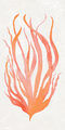 Image Not Available